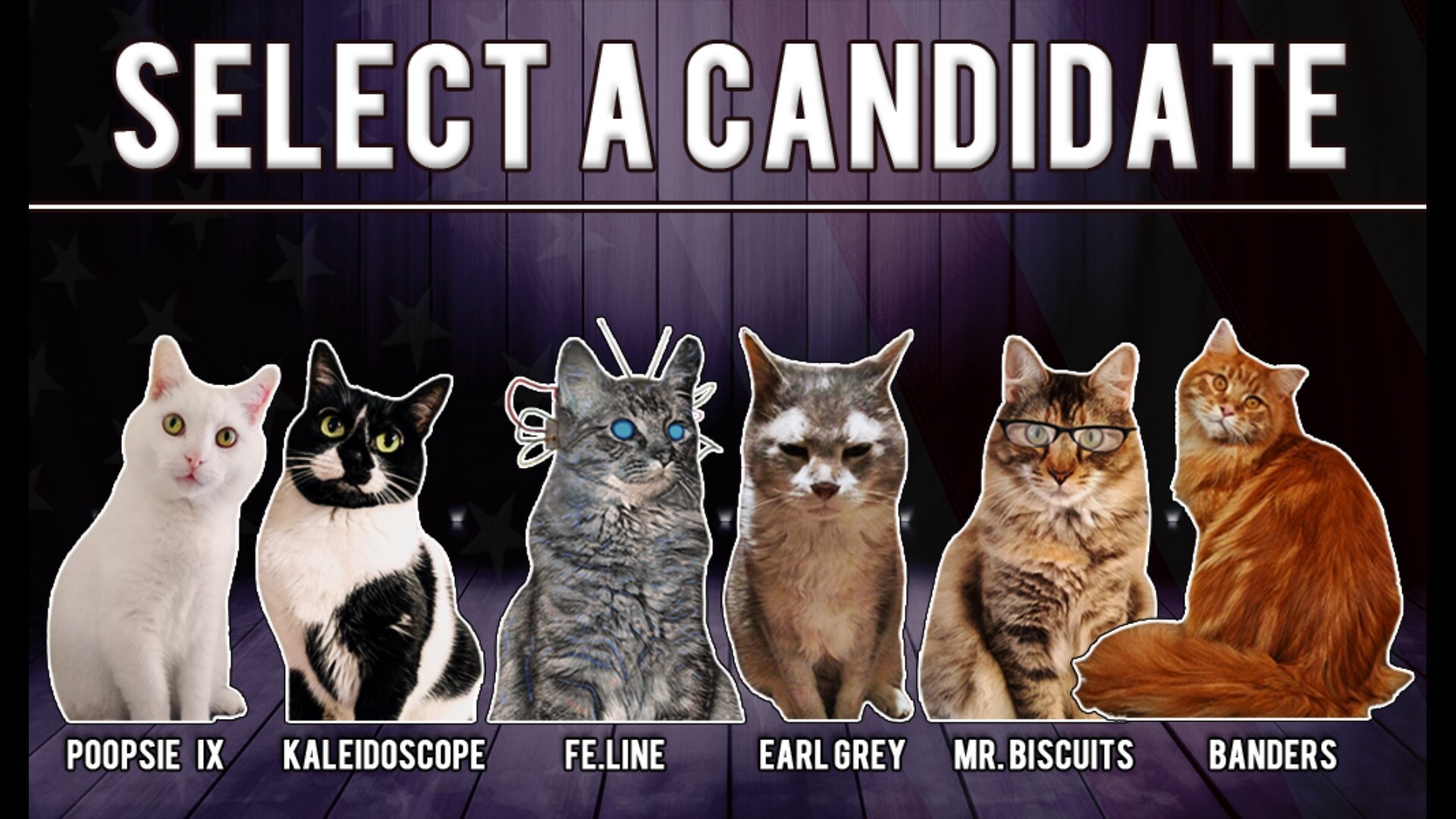 Cat President 2: Purrlitical Revolution game screenshot, candidate selection